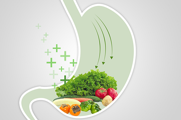 �������L(zh��ng)��(n��i)Ĥ��