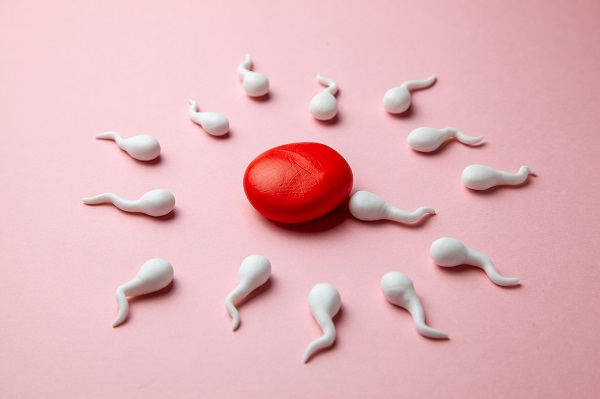 試管嬰兒,試管囊胚移植,試管嬰兒養(yǎng)囊條件